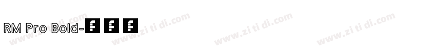 RM Pro Bold字体转换